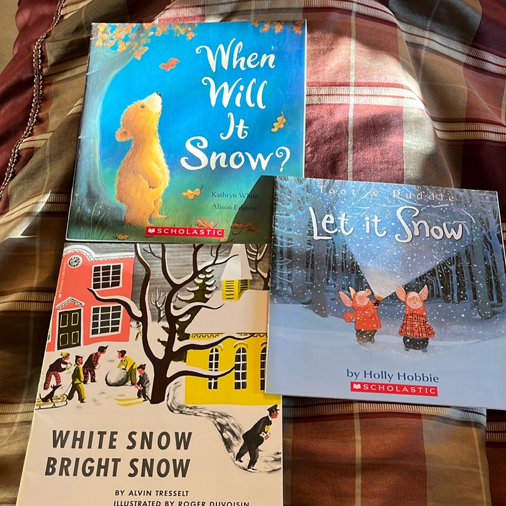 Snow books set of 3 paperback picture Christmas books in excellent condition